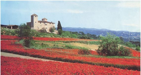 Castell de les Torres de Palau